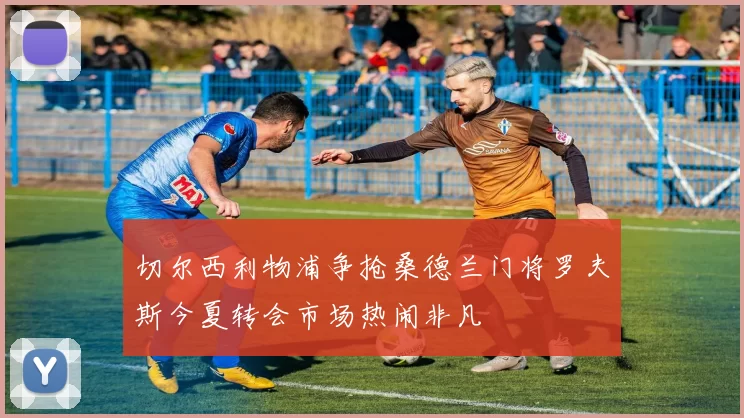 切尔西利物浦争抢桑德兰门将罗夫斯今夏转会市场热闹非凡